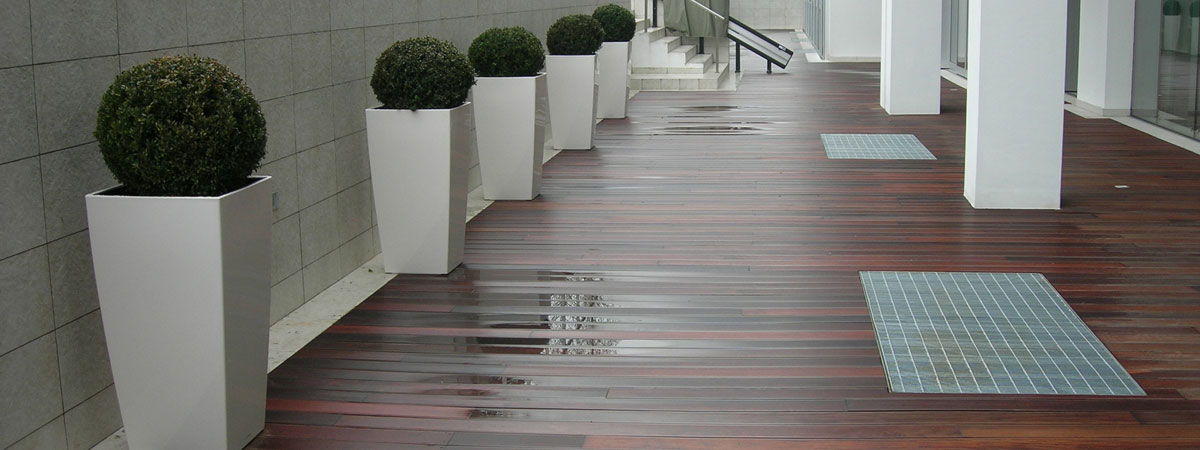 foto6